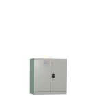 low steel cabinet with swing door