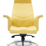 Director Chair