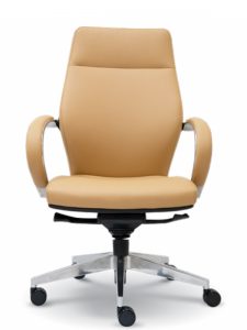Director Chair