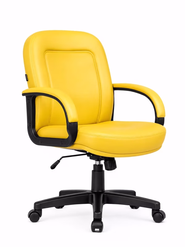 executive low back chair