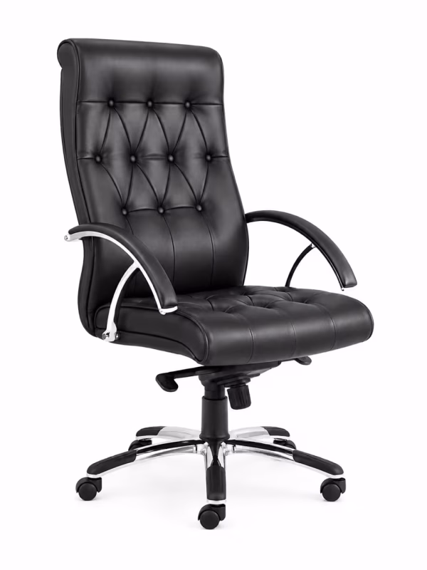 leather High back chair