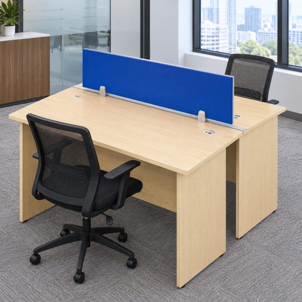 2 seater workstation