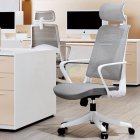 mesh chair